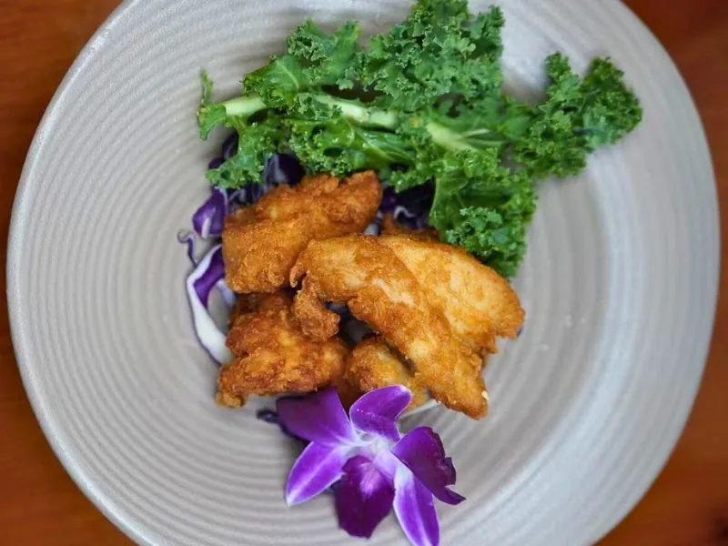 Crispy fried chicken bites with greens at Koi Ramen & Sushi, a Japanese Restaurant in Johnstown