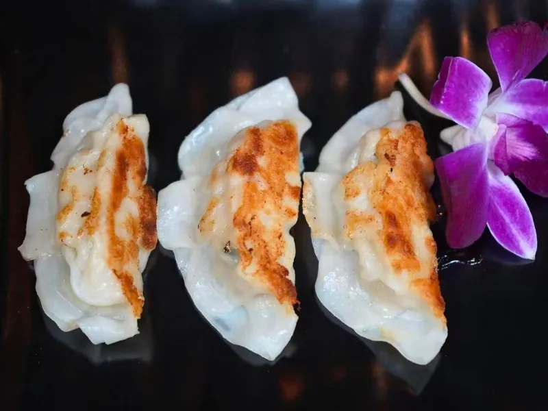 Pan-fried gyoza dumplings with crispy edges at Koi Ramen & Sushi, a Japanese Restaurant in Johnstown